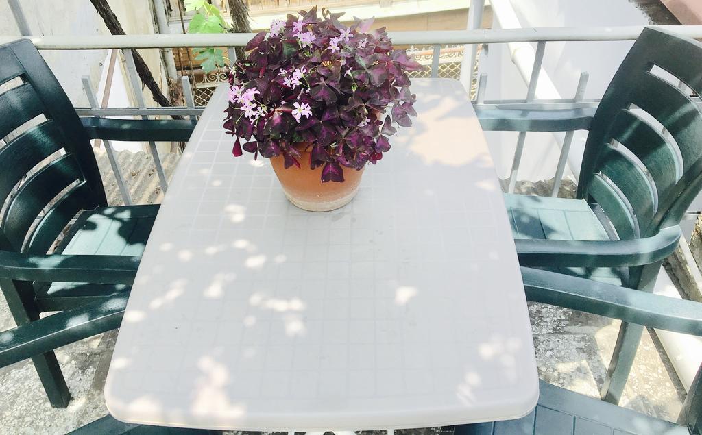 Guest House Zatika ティビリシ エクステリア 写真